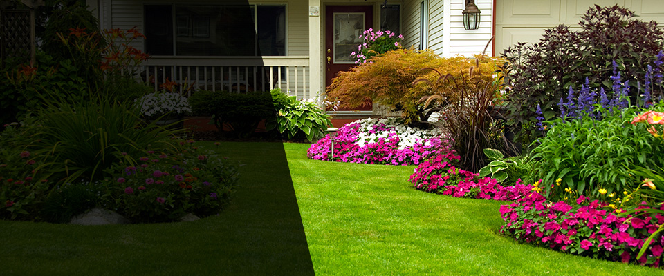 Burton Landscapers